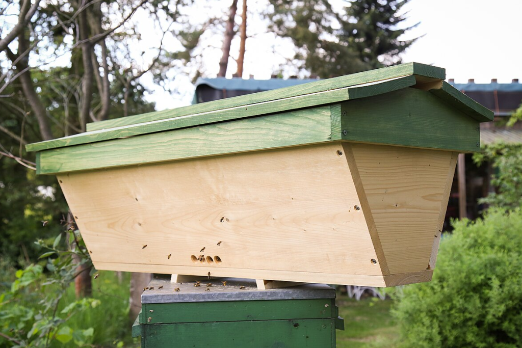 Top Bar Hive with a horizontal design that requires minimal equipment and allows for easy inspections without heavy lifting. Great for beginning beekepers.