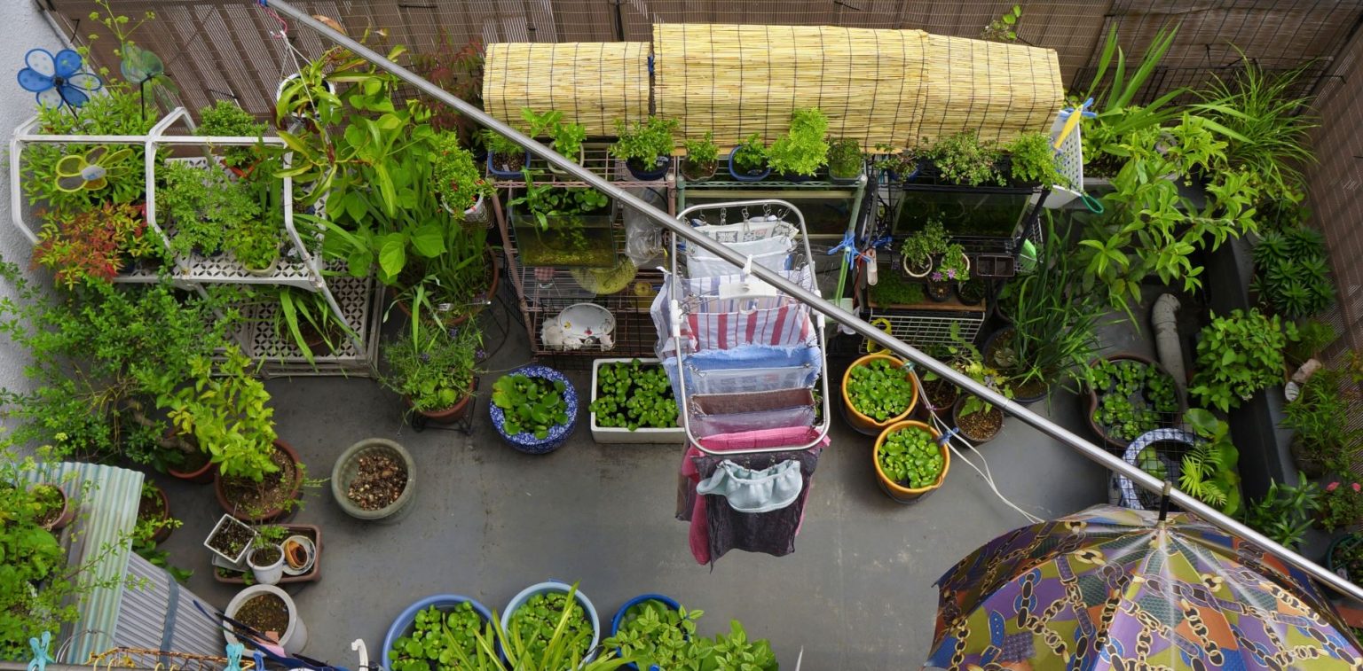 An urban balcony container garden shown from above with a range of herbs and vegetables in different garden containers