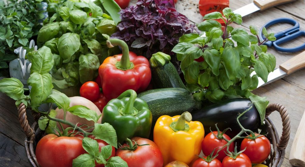 A photo of a bountiful container garden harvest. There are various vegetables and herbs, including tomatoes, bell peppers, zucchini, eggplant, basil, and oregano. 