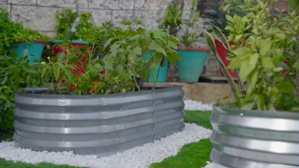 Galvanized steel garden containers being used as raised garden beds.