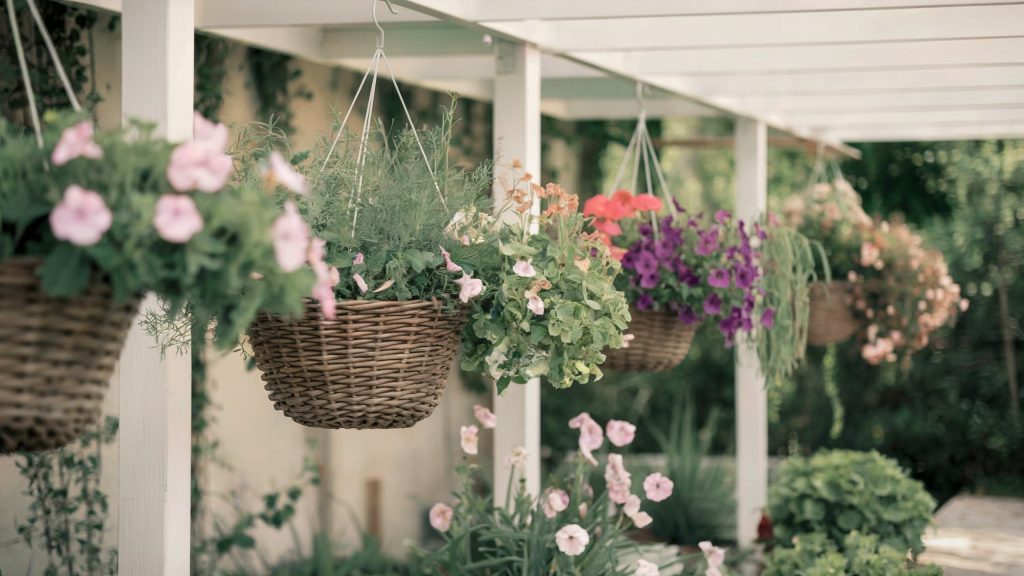 A group of 5 hanging baskets with a mixture of flowers and herbs, a traditional choice for container gardening.