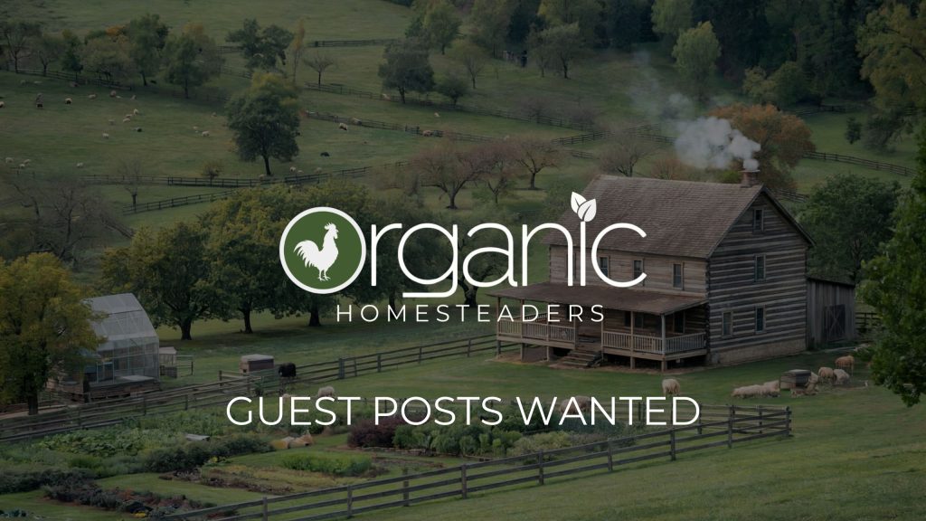 guest post blog for homesteaders
