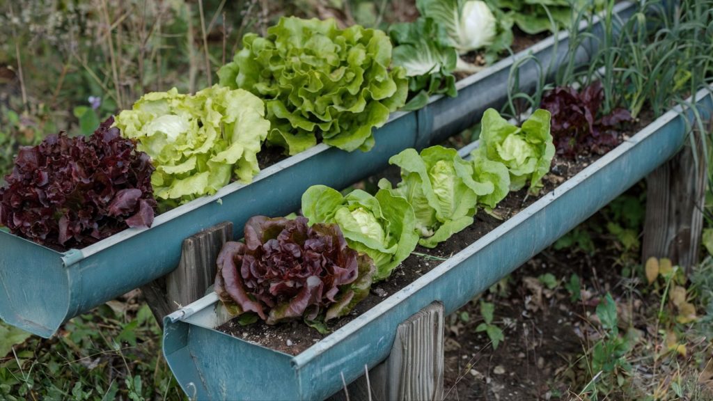 rain gutter garden planters