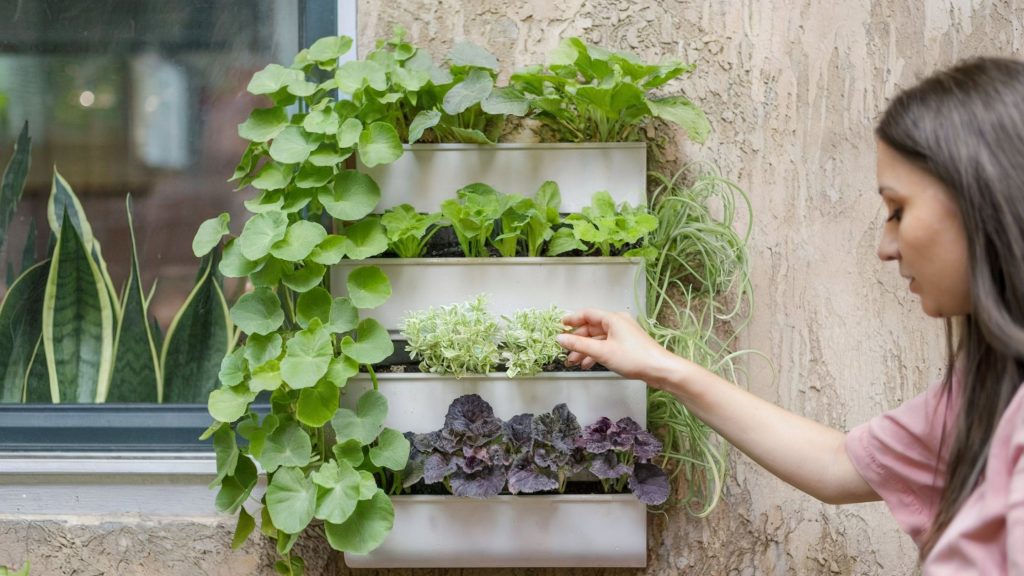 Woman tending to her vertical gardening containers.