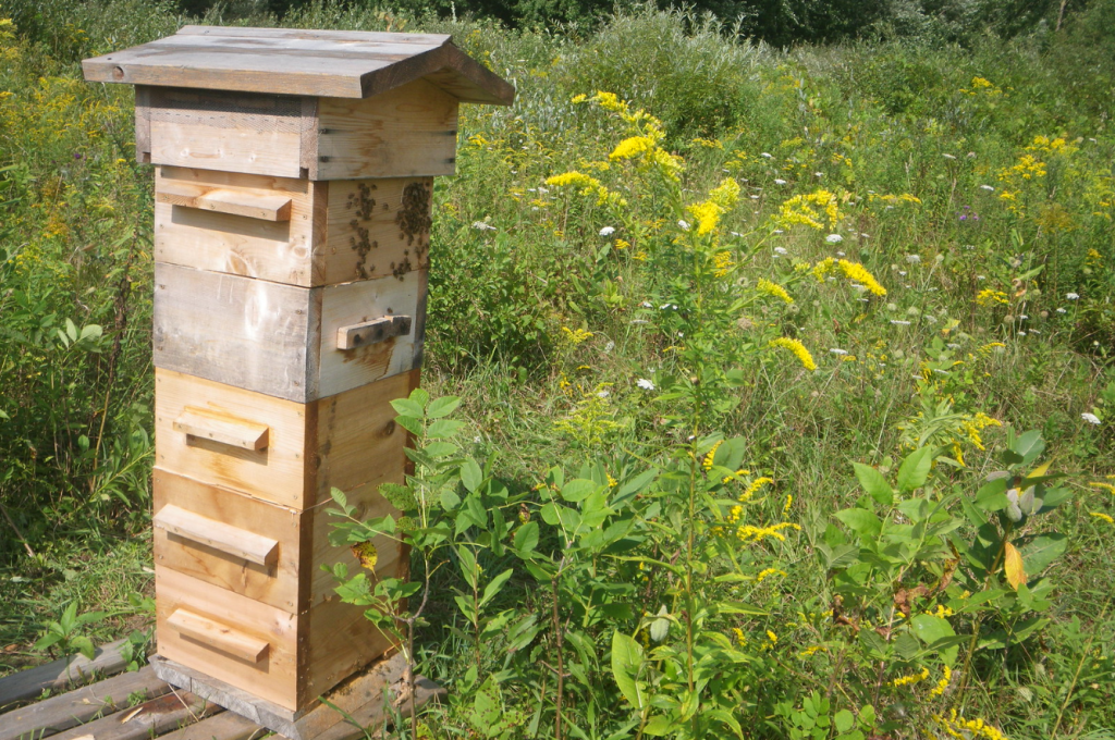 The Warre hive is a vertical hive designed to mimic the bees' natural environment, promoting minimal intervention from the beekeeper.