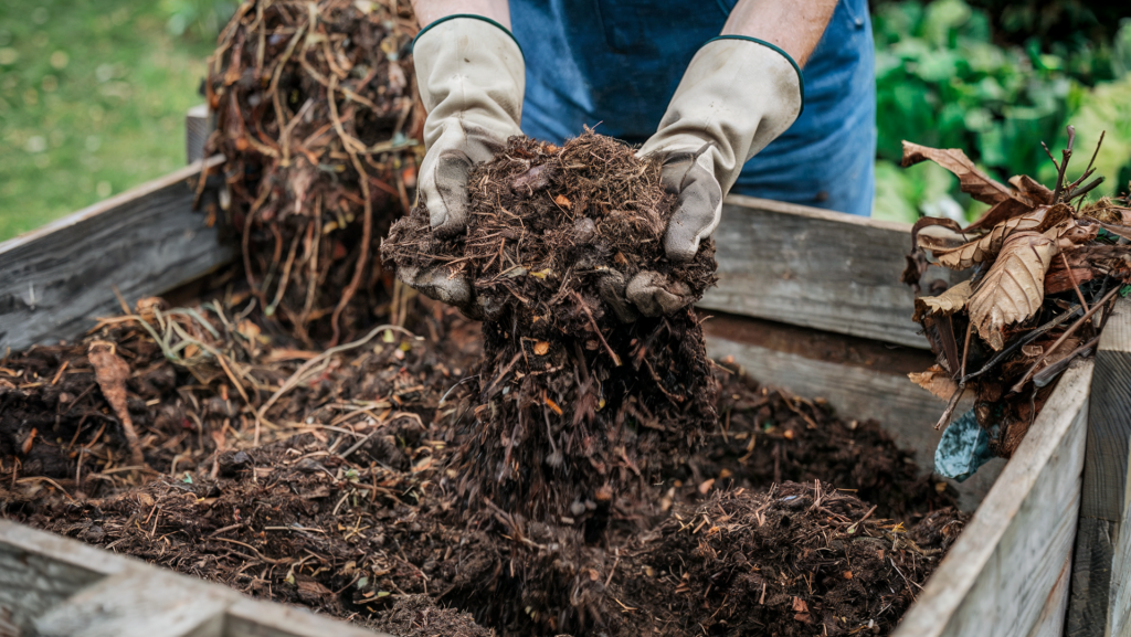 A photo of a gardener harvesting compost. We only see the gardener's gloved hands as they sift through the finely sifted dark soil to remove any of the larger pieces. 