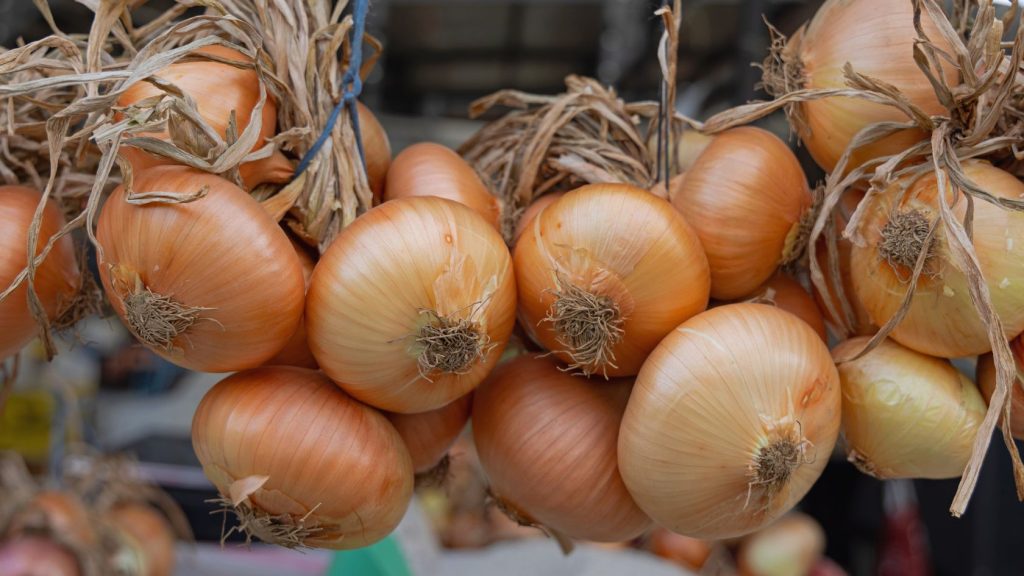 Onion bunches hanging 