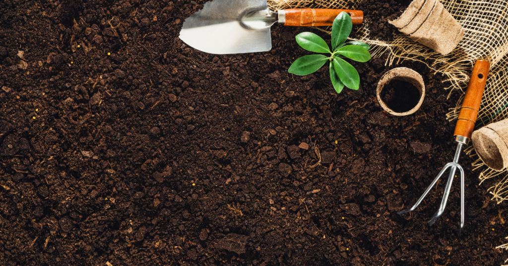 Small gardening tools are shown alongside a new planting. Rich organic soil is the goal of any permaculture system.