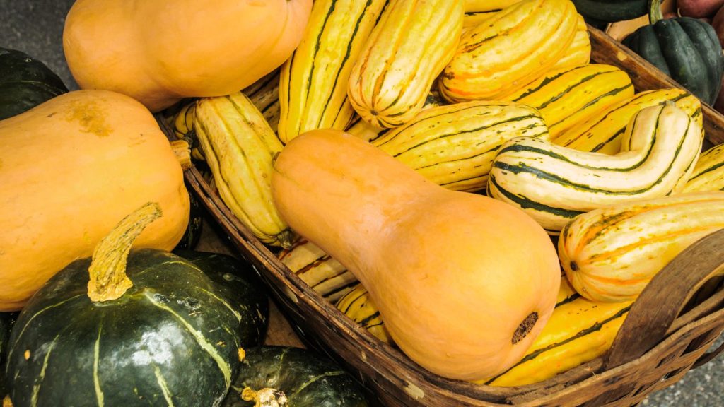 A nice selection of winter varieties of squash.