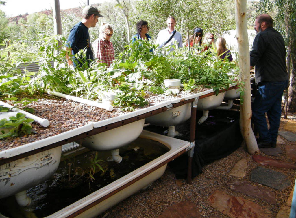 A more elaborate aquaponics system shown off to a group of 7 people by the owner of Bathtub Aquaponics.