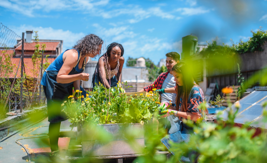 Four people working on a community garden project in the city.