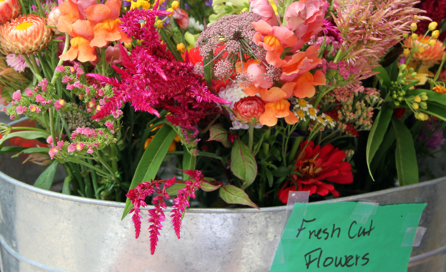 A selection of fresh cut flowers in a rustic metal bin prepare for sale.