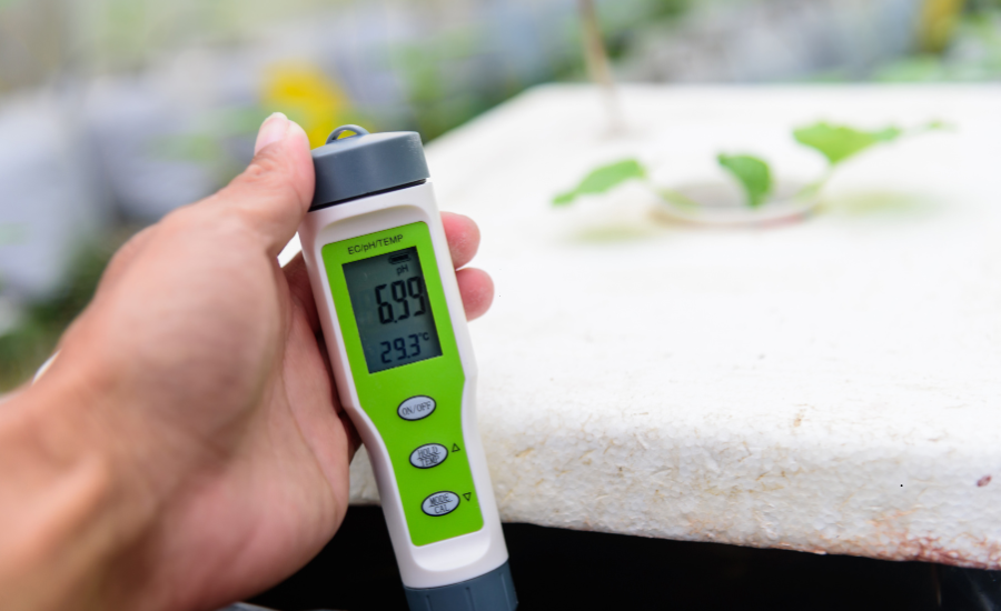 A digital pH and temperature monitor, essential for a backyard aquaponics system.