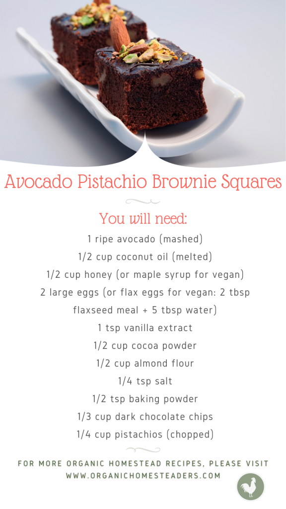 Recipe and photo of avocado pistachio brownie squares and decadent, but relatively healthy treat for gift giving from the homestead.