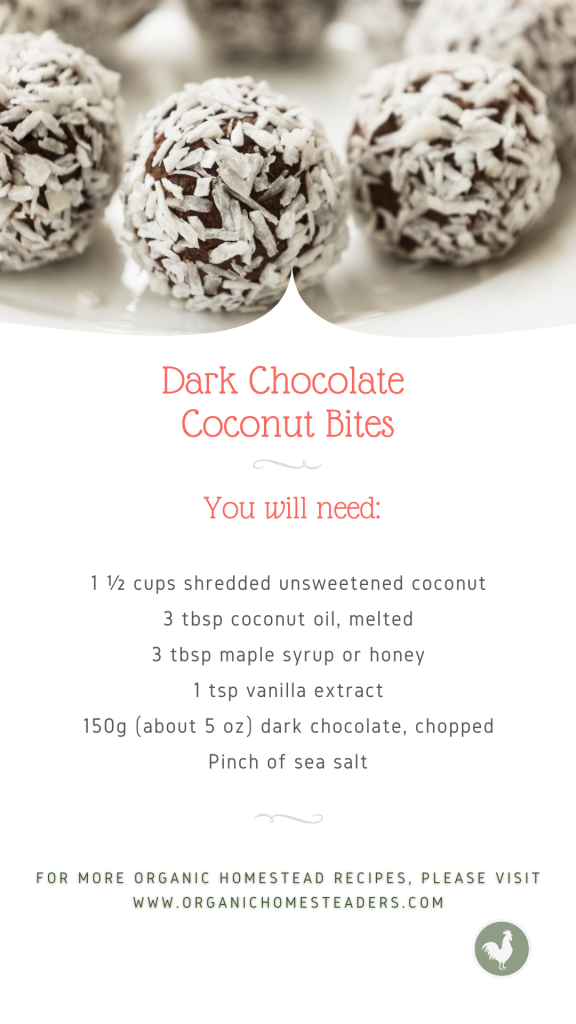 Recipe and photo of dark chocolate coconut bites, perfect healthy holiday treat.