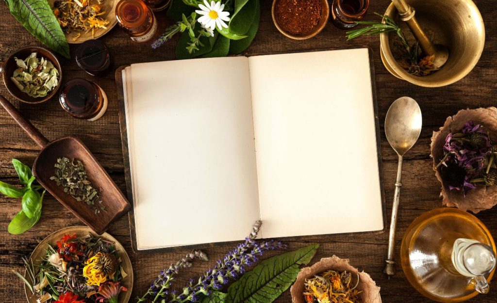 An open book surrounded by a variety of medicinal herbs in bowls and cups, as well as tinctures.