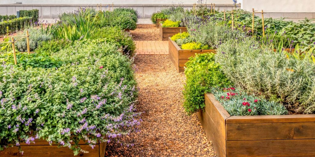 A group of 8 raised bed gardens shown with a focus on companion planting, mixing vegetables, herbs and flowers.