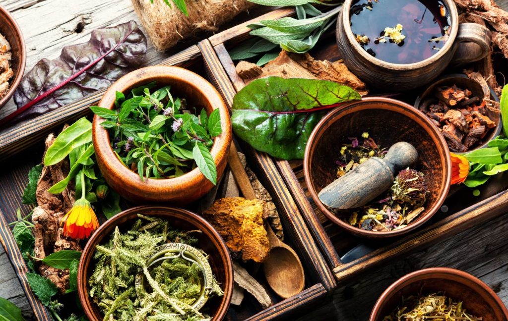 An assortment of medicinal herbs and plants in wooden boxes with a rustic spoon and some essential oils.
